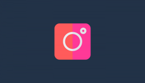 Instagram Rhino