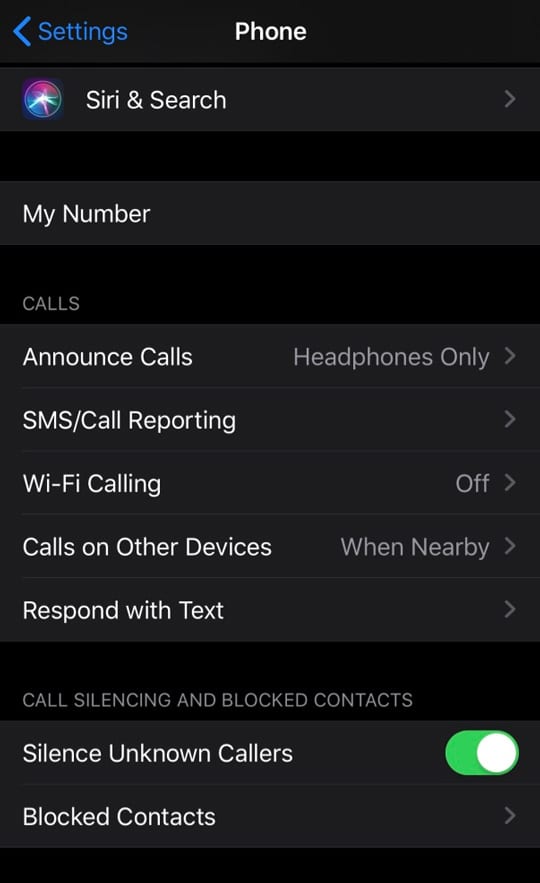 iOS13 Phone App Settings 1 - iPhone Incoming Calls Go To Voicemail Without Ringing? Try these tips. iOS13 Phone App Settings 1