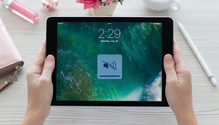How To Fix Ipad Sound Not Working Issue?