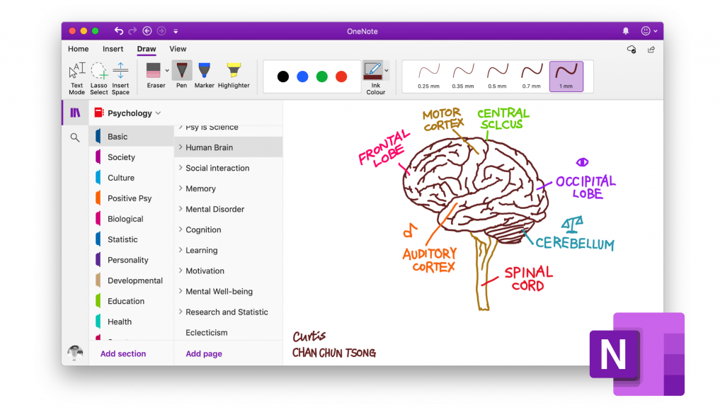 Notion Vs Onenote: Is Notion Better Than Onenote?