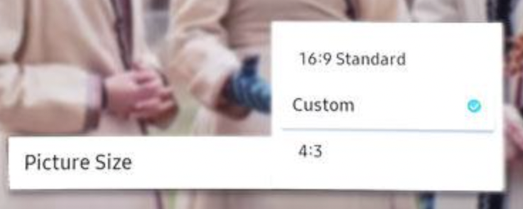 Why Are Picture Size Settings Not Available On Your Samsung Tv?