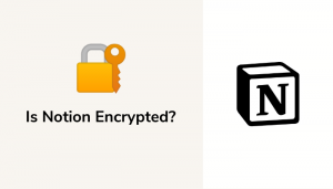 Is Notion Encrypted? Everything You Need To Know