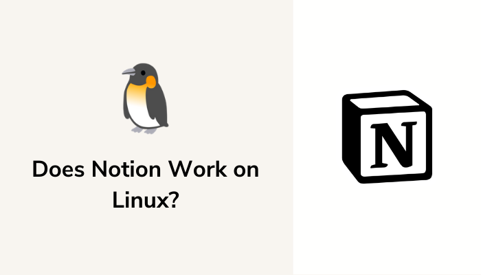 Does Notion Work On Linux? All You Need To Know