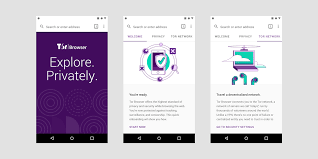Excellent Vpn Browsers For Android