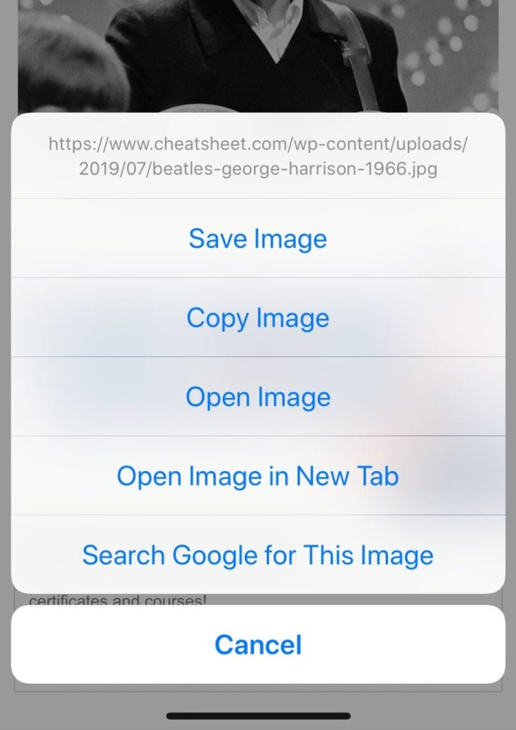 How To Image Search On Iphone, Ipad, And Android
