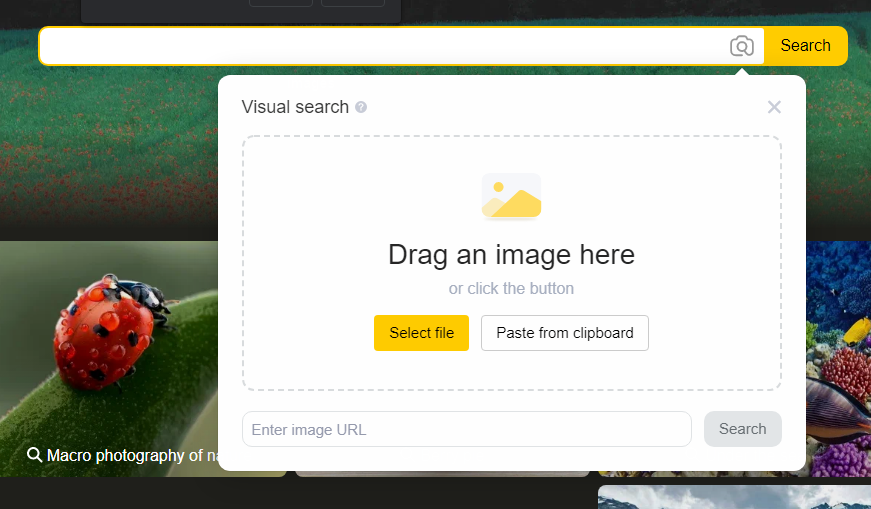 How To Image Search On Iphone, Ipad, And Android