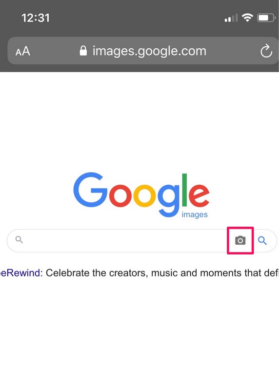How To Image Search On Iphone, Ipad, And Android