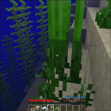 Breed Turtles in Minecraft 3 - How To Breed Turtles in Minecraft How To Breed Turtles In Minecraft