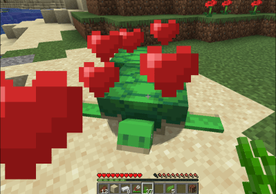 Breed Turtles in Minecraft 4 - How To Breed Turtles in Minecraft How To Breed Turtles In Minecraft
