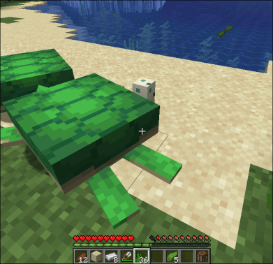 Breed Turtles in Minecraft 5 - How To Breed Turtles in Minecraft How To Breed Turtles In Minecraft