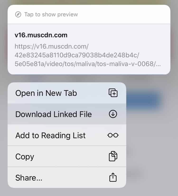 How To Download Videos From Any Website2 - How To Download Videos From Any Website How To Download Videos From Any Website