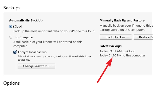 How to Recover Accidentally Deleted iMessage on iPhone11