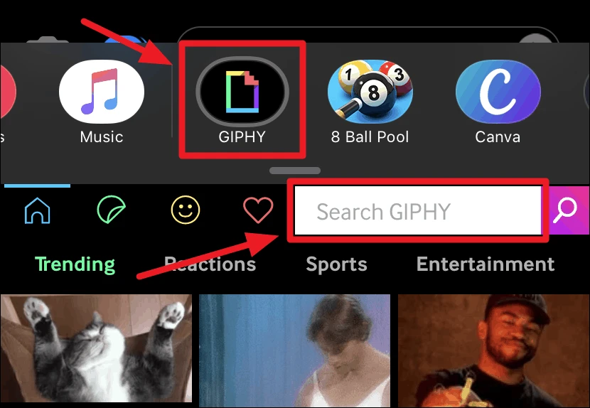 FIX GIF Search and Images Not Working in iMessage on iPhone11