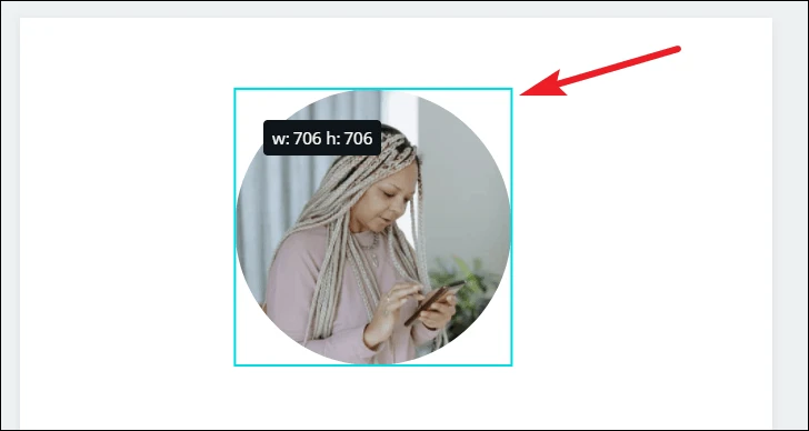 How To Remove background in Canva29