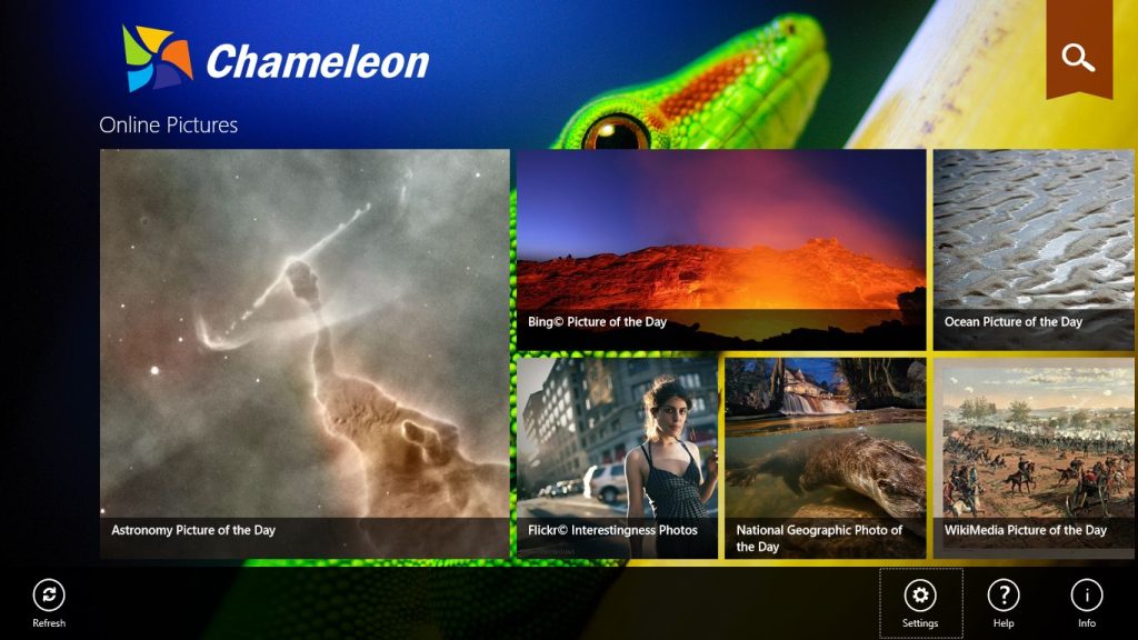 Best Animated Wallpapers for Windows Chameleon Wallpaper - Top 15 Best Animated Wallpapers for Windows Best Animated Wallpapers for Windows Chameleon Wallpaper