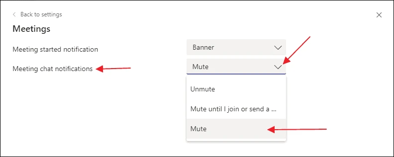 How To Mute Microsoft teams Audio5
