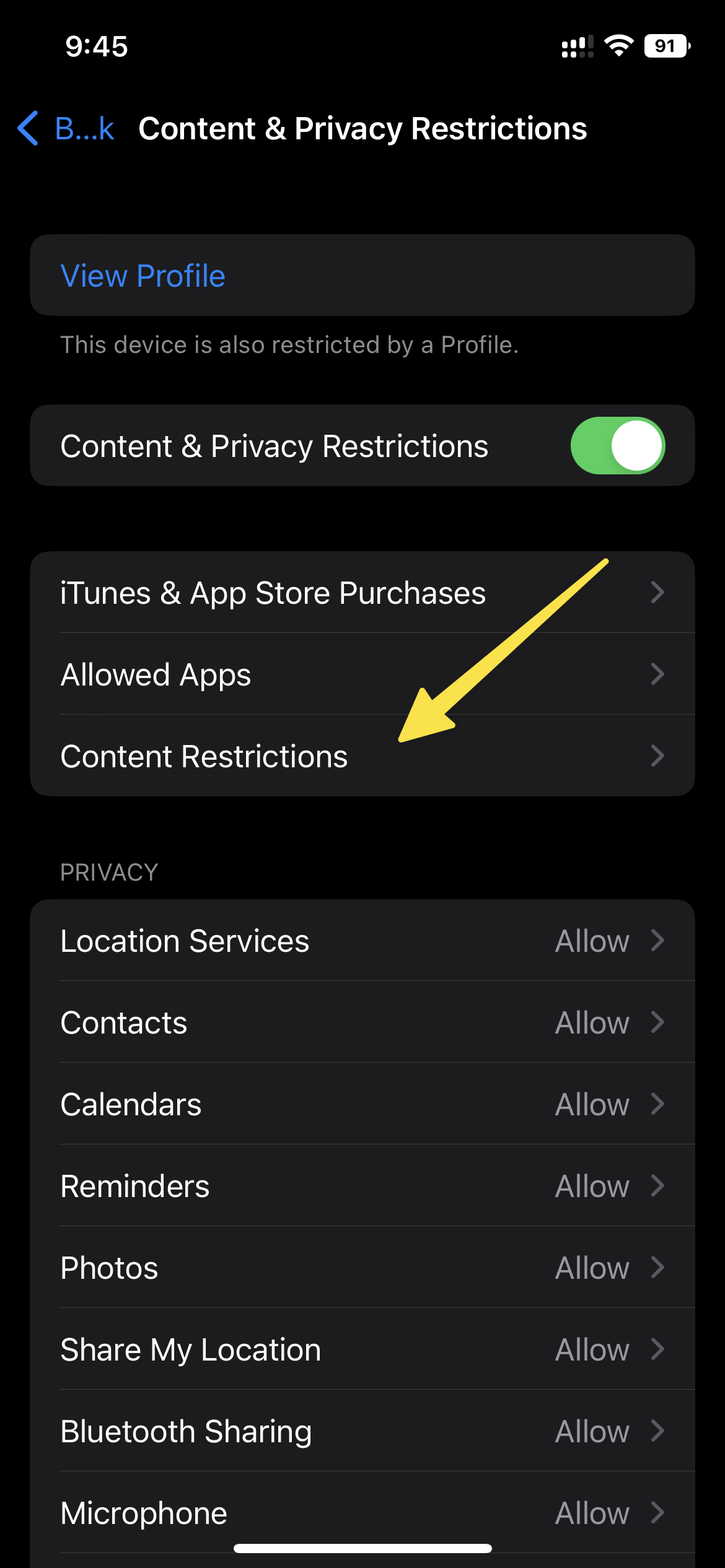 Turn Off SafeSearch on Safari 3