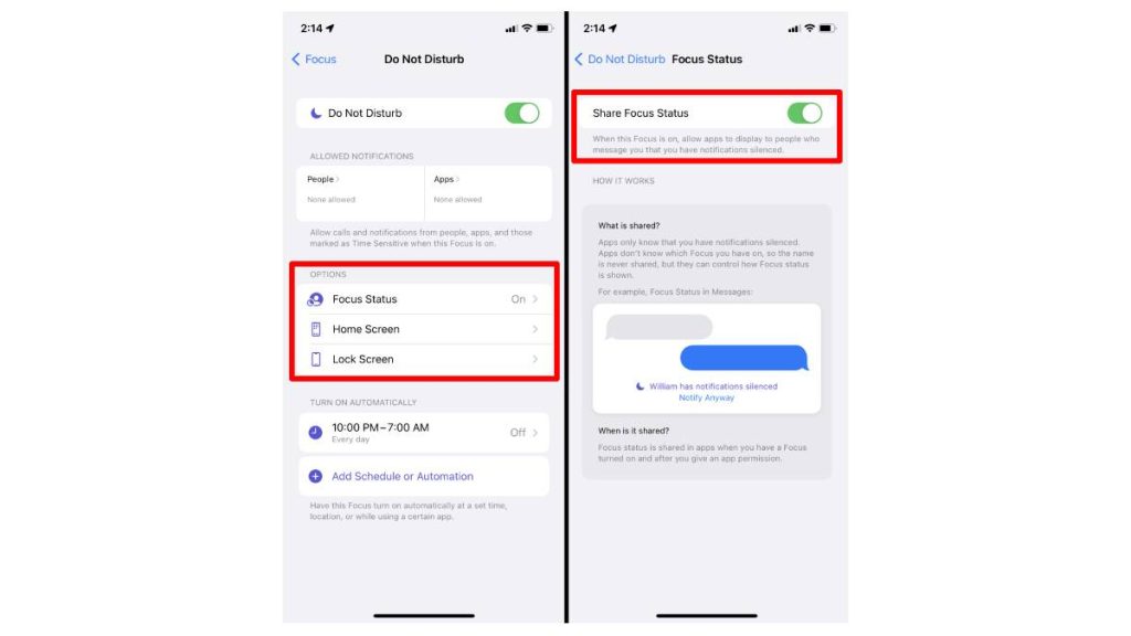 What is Share Focus Status on iPhone2