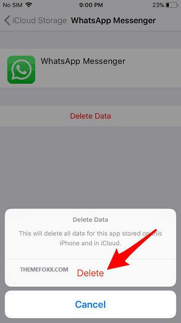 documents and data iPhone 11