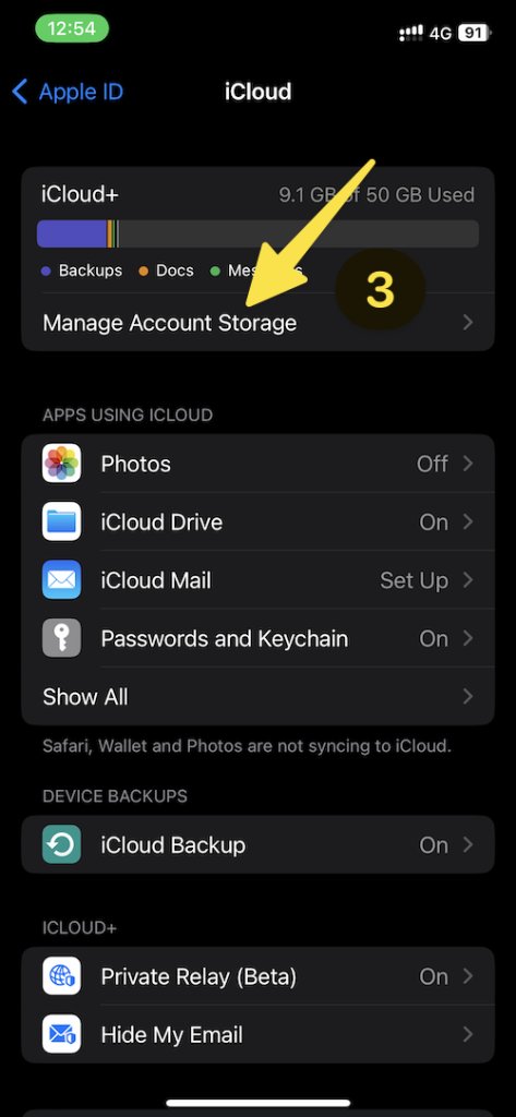 Buy Storage on an iPhone 1