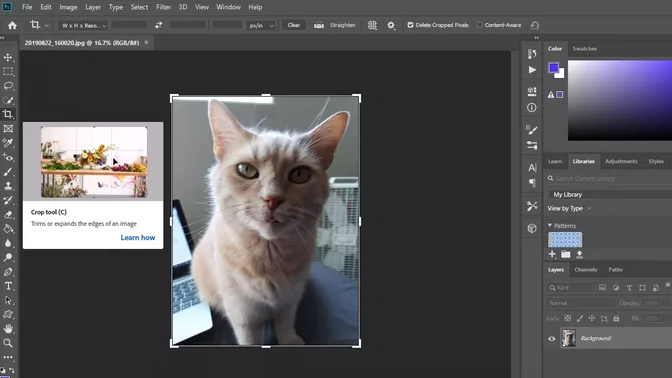 Screenshot 2022 12 11 110550 - How to crop a screenshot on a Mac? Screenshot 2022 12 11 110550