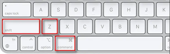 Screenshot 2022 12 12 211228 - How to undo on a Mac? Screenshot 2022 12 12 211228