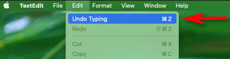 Screenshot 2022 12 12 215714 - How to undo on a Mac? Screenshot 2022 12 12 215714