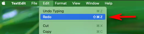 Screenshot 2022 12 12 215724 - How to undo on a Mac? Screenshot 2022 12 12 215724